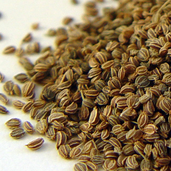  - Essential Oils